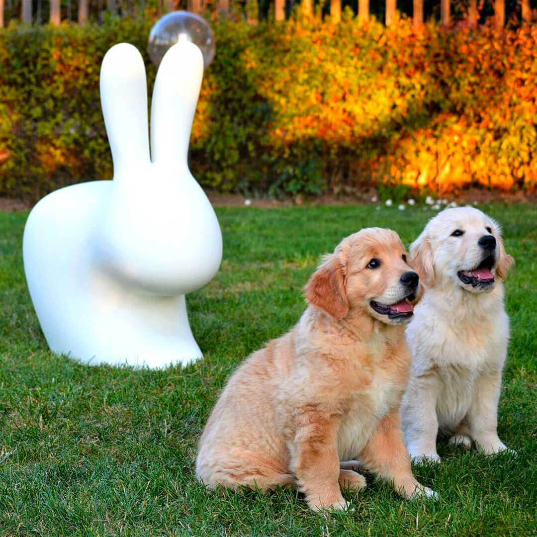 Rabbit Chair Qeeboo - Sedia di Design a forma di Coniglio Stefano Giovannoni