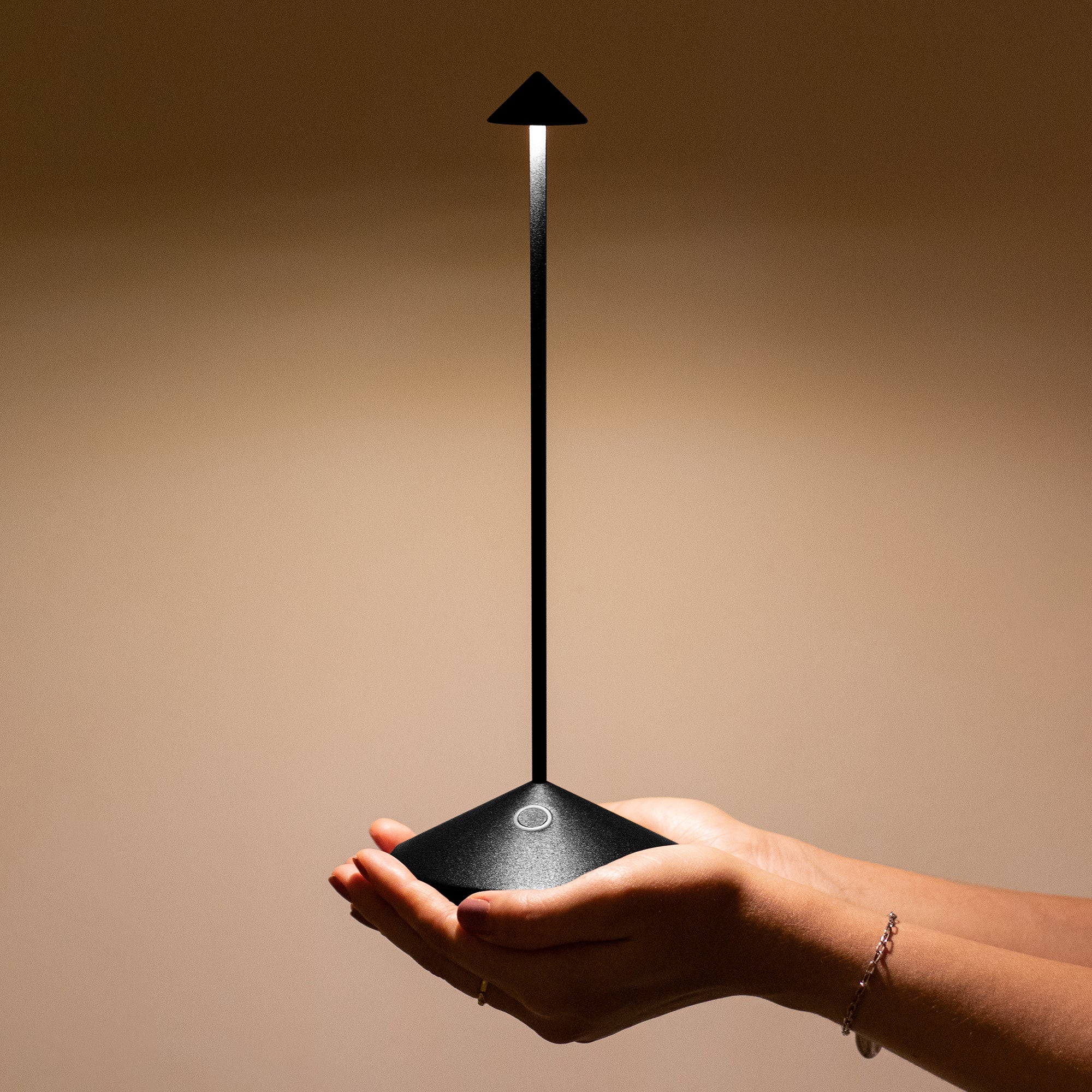 ecletty Pina lampada da tavolo nero